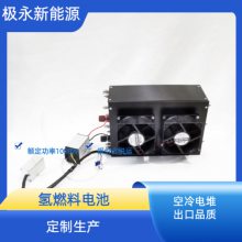  ȼϵѵ1000W -ʽ ȼϵص