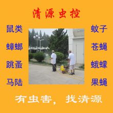 清源虫控：镇江杀虫公司提醒 杀灭跳蚤的关键是什么