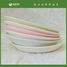 NO plastic NO paper Biodegradable Cutlery