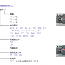 DPT63-CB010 C0.5 2P ABB˫Դת