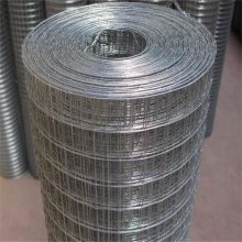 福建电焊网片/冷镀电焊网片/黑丝电焊网厂家