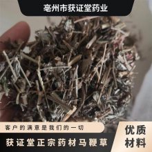 获证堂正宗药材马鞭草 无硫中药材燕尾草 原材料马鞭梢大量出售