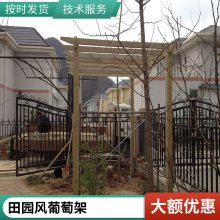 防腐木廊架花架 公园 别墅庭院 樟子松碳化木材 颜色定制胜杰腾达SJTD31