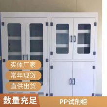 CHENGLIN/成霖牌化验室PP药品柜器皿柜PP高柜 实验室储存定做