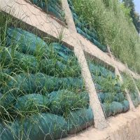 山东植物纤维毯也称植被毯、植生毯、环保草毯、椰丝毯