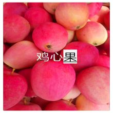ʻţƻ ά˹ƽƻ 0.5 ̸0ƻ