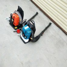 马路吹尘机 鲁华背负式汽油吹雪机 LH CFJ工程用吹风机
