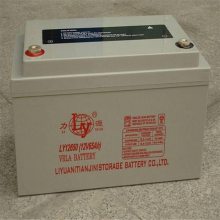 Դ LY12500 12V50AHά Ӧ ֱ upsԴר