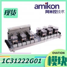 1C31132G01 ģģ