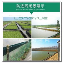 长期销售福利结实鱼苗养殖网