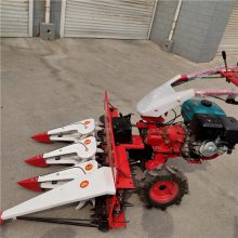 ʹո 賬ĳ̵иɹ ոѴ󶹸