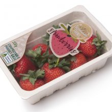 PETPE和GAG片材有什么区别