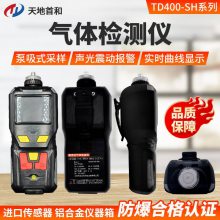 �����������̼Ũ�ȼ����TD400-SH-CO2����ʽ����