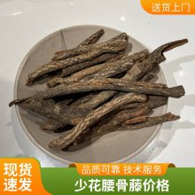 少花腰骨藤皮 无硫中药材红杜仲皮 原材料结衣藤大量出售