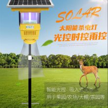 誘蟲燈 紫光燈殺蟲燈什么原理