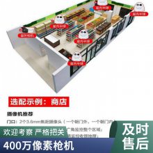 大华丰视 FS-F13-l FS-D14-l 200万红外变焦高清监控摄像机