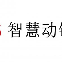 深圳智慧动锂电子股份有限公司