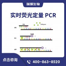 ʵʱӫⶨ PCR