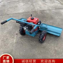 Ӧѩ ѩ ʽѩ