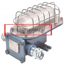 ú֧ܵ(DGC18 127L(A) DGC22/127L(A) 41 ) ֳ ú֤