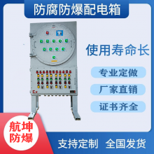 粉尘防爆配电箱 照明控制动力分线箱 检修电源插座开关箱 定制厂