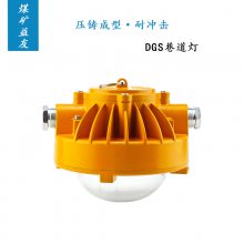 DGS21/127L(A)øLEDСԲ24W·