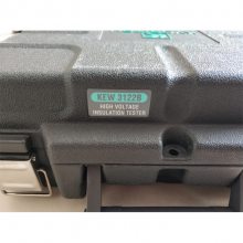 3122BָԵ5000Vѹŷд