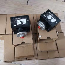ASHCROFT˼ѹѹȫϵWP424VXFS,45-1082-P-04һ