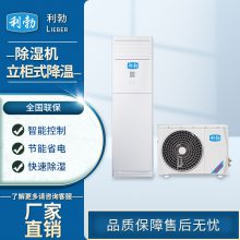 利勃 抽湿器 BCF-04CJ(G) / 档案室 降温除湿机