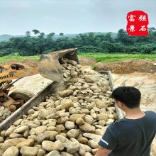 云浮大型路面鹅卵石 庭院装饰雨花石 过滤材料景观石