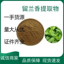 留兰香提取物 浓缩粉 绿薄荷浸膏粉 全水溶