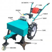 ݻ ԰ݻ ʽ۲ݻ
