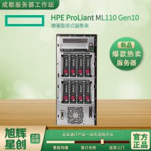 双机热备服务器_网站服务器_大数据存储服务器_惠普HP ML110 Gen10服务器广元市报价