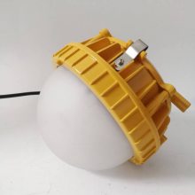 BPC8766防爆平台灯 户外厂房电厂防爆灯LED防爆平台灯40W