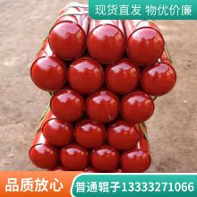 ĺֻ||D133*1150|D89*950|