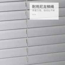 綯Ҷ ˾Ҷ Ҷ۸ ѡ̼