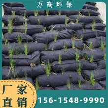 ̻ 籡Ѵ ֲݴ Ѵ̻̬ 40*80