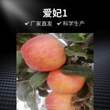 ƻG935ƻ