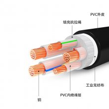 ʴ  ZB-YJV 0.6/1KV ѹ ȼͭо 4*70+1*35