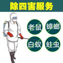 Ƶ   ͥĺ顢ȷ