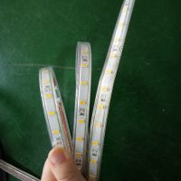 LEDѹƴ Ƭƴ5630 һ60 220V  ֱ
