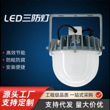 ZY9146ϵ ZY9146-50W/30W LEDѣ