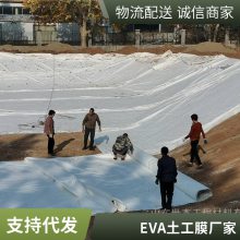 人工湖防渗 鱼塘护坡 绿化景观边坡防护 两布一膜复合土工膜
