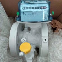 Itron  TZ150 G1000ƣTZ 150 G 1000    