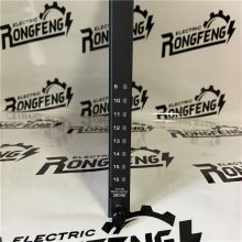 TRICONEX 8110 ģ sisϵͳ