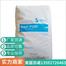  Solef 6008/0001 ߴ ߿Ӧ עܳ PVDF