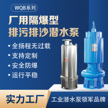 WQB25-12-2.2Ǳˮ ȼExdIIBT4Ǳˮ Ǳ۱