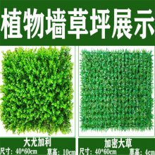 直营仿真植物墙247大草门店招牌塑料假草坪形象LOGO广告牌