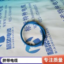 Ӧ۰ֵ ˮ͸ʴ̽豸ר