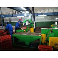 铅酸极板分片机